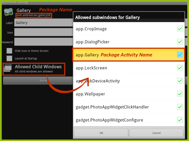 Application Details Window
