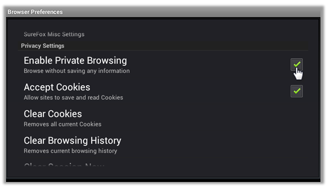 Browser Preferences_2
