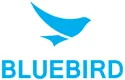 Bluebird