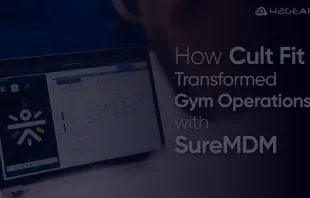 cult-fit-case-study