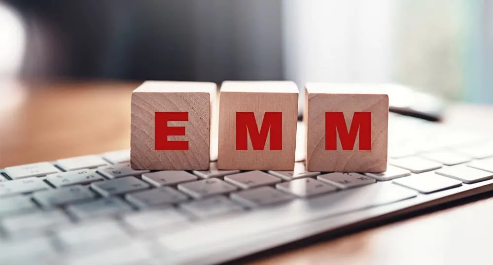 What is EMM(Enterprise Mobility Management)?