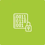 Automatic Encryption