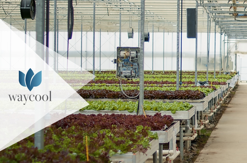 WayCool Foods is Paving the Path to Centrally Manage All the Devices via SureMDM