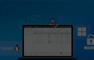 LAPS for Windows and Linux
