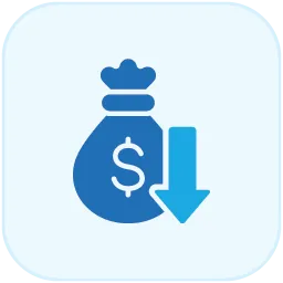 Budget-Friendly Solution