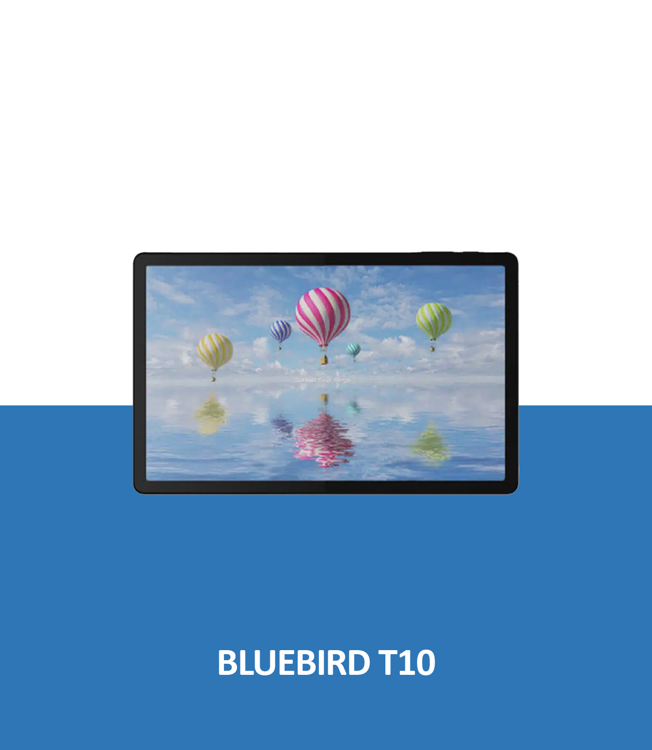 Bluebird T10
