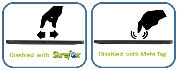 disabled Disabled Zoom - Pinch and Double Tap
