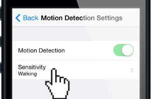surefox_motion_detection_on surefox_motion_detection_on