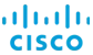 cisco banner