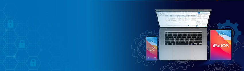 iPadOS vs. iOS: What’s the Difference and Why It Matters?