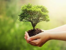 World Environment Day Celebration