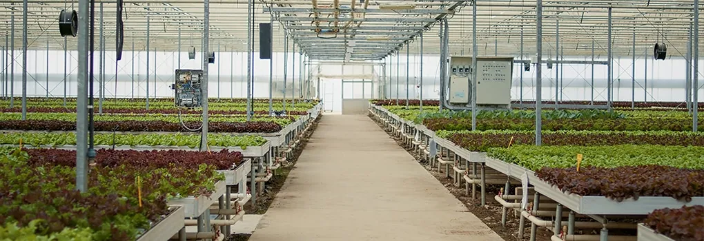 WayCool Foods is Paving the Path to Centrally Manage All the Devices via SureMDM