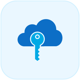 Single Sign-On (SSO) Access