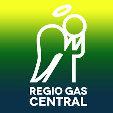 TNS-logo