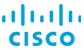 Cisco banner