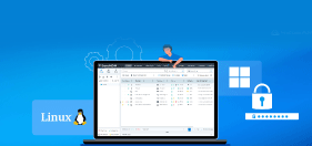 Window-linux-LAPS