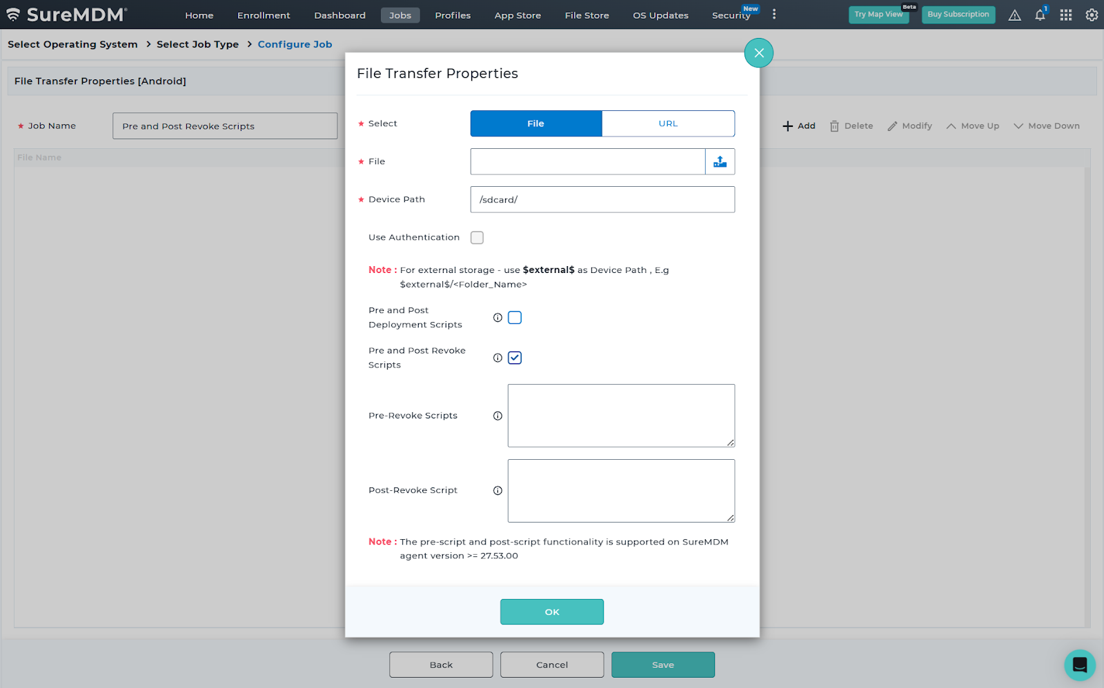File Transfer Job - Pre and Post Revoke Scripts