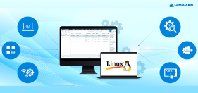 Linux Device Management